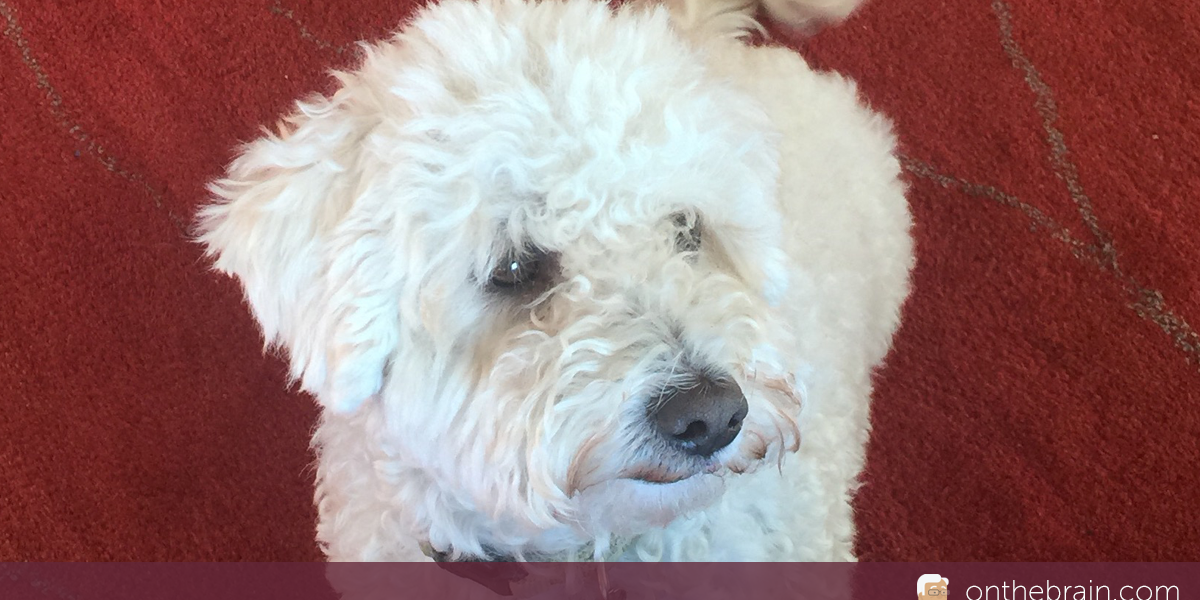 One of my secrets for getting my daily physical exercise